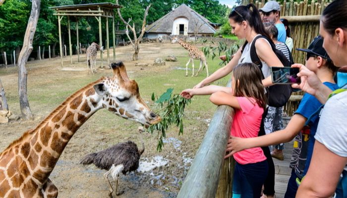 foto archiv Zoo Zlín