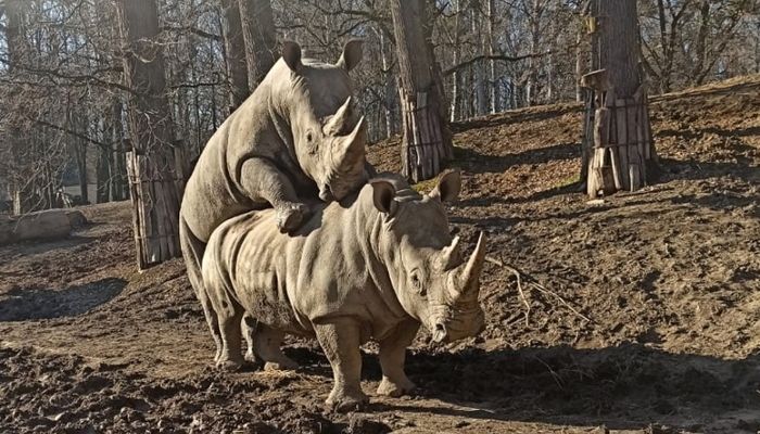 archiv Zoo Zlín