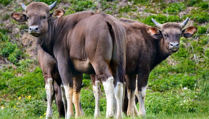 archiv Zoo Zlín